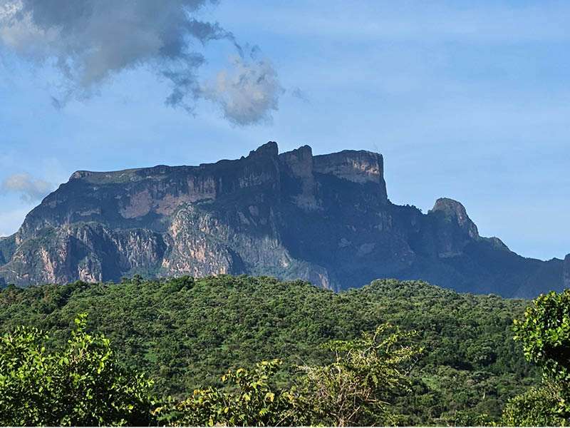 4 daagse wandelreis op Mount Kadam in Oeganda met Elgon Safaris