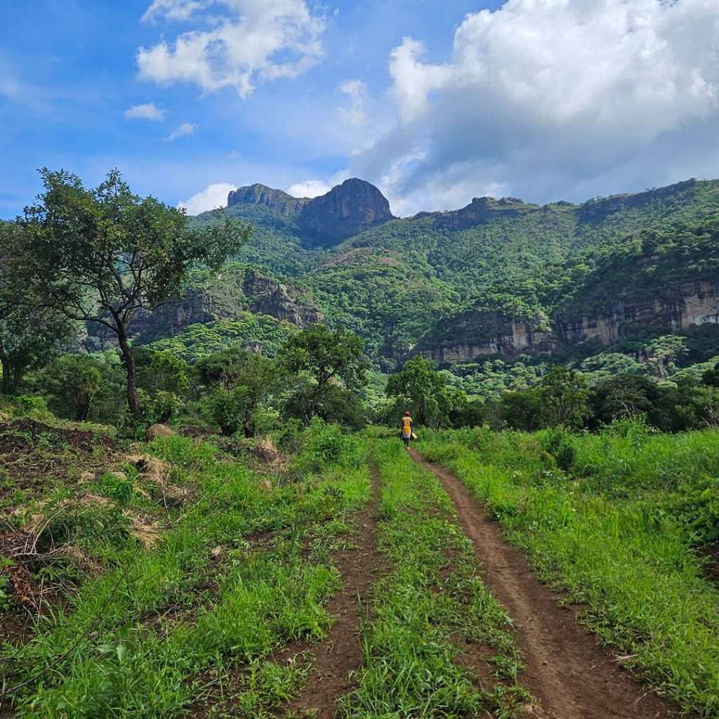 The path leading to the starting point of the 4 day Mount Kadam Hiking tour from Elgon Safaris Uganda